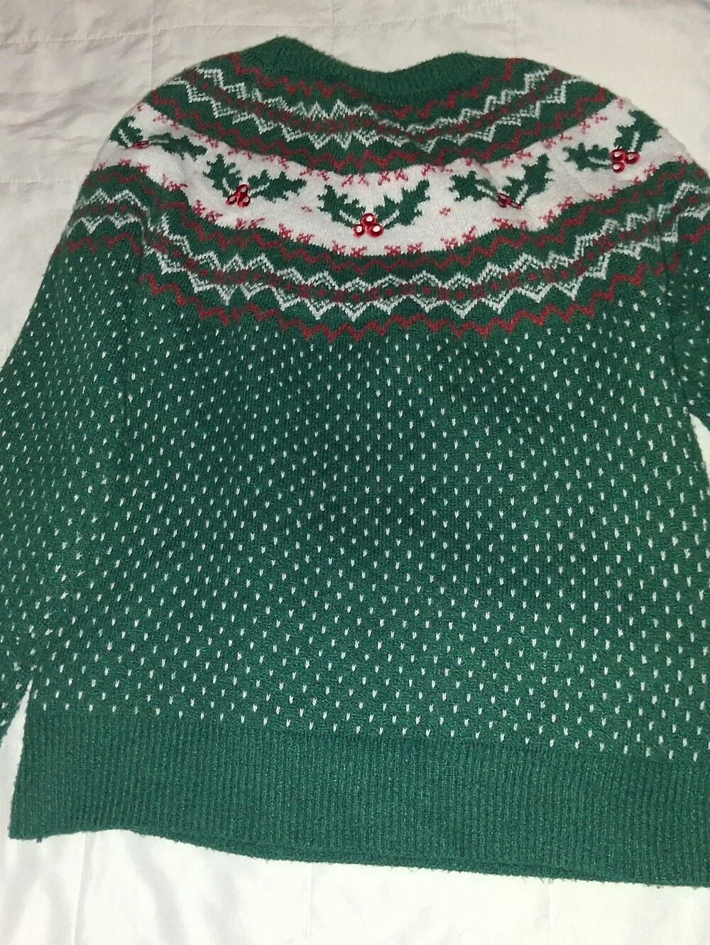 Holiday Time Womwn's Fair Isle Holly Berry Christmas Pullover Sweater - Medium